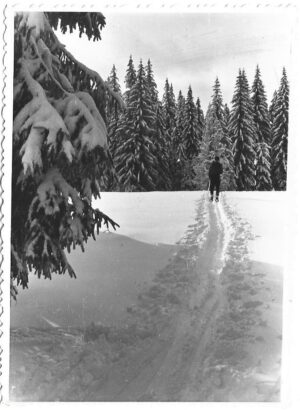 Peisaj hibernal cu schior, România, lot de 4 fotografii