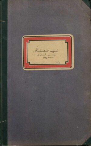 A temesfalvai állami elemi népiskola haladási naplója 1915-1919 și Registrul de activități al școlii 1919-1920