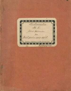 Matricula școlară, Școala primară de stat Dragșina, județul Timiș-Torontal, pe anul școlar 1927-1928
