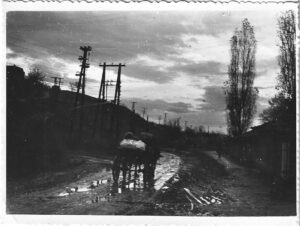 Peisaj rural cu căruță trasă de cai pe drum noroios pe vreme ploioasă