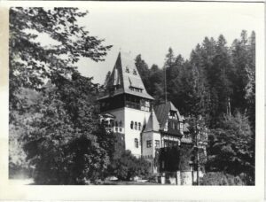 Castelul Pelișor