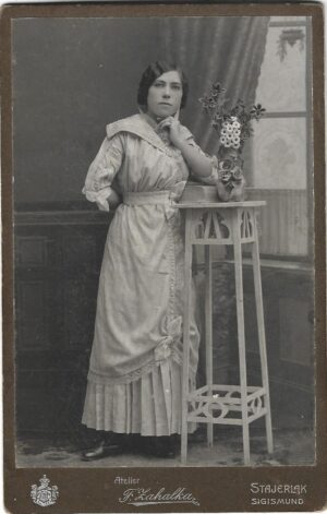 fotografie studio Franz Zahalka Stajerlak Anina, Anticariat Historiarum