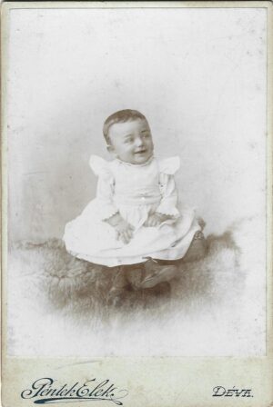Fotografie Péntek Elek Deva, Anticariat Historiarum