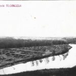 Ocolul Silvic Slobozia Parchetul Balta Mare 1935, Anticariat Historiarum