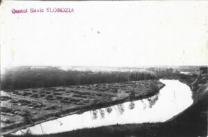 Ocolul Silvic Slobozia Parchetul Balta Mare 1935, Anticariat Historiarum