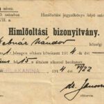 Certificat de vaccinare antivariolică Anina 1914, Anticariat Historiarum