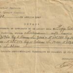 șvab Jimbolia Regimentul 2 Roșiori Regimentul 10 Artilerie Regimentul 11 Călărași 1945, Anticariat Historiarum