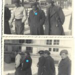 Batalionul 8 Vânători de Munte Bistrița perioada regalității, Anticariat Historiarum